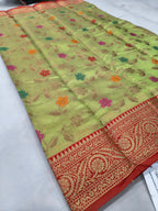Light green silk saree with multi-color floral motifs and red patterned border